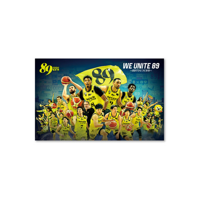 チームグラフィックステッカー 2025-26 ver.2